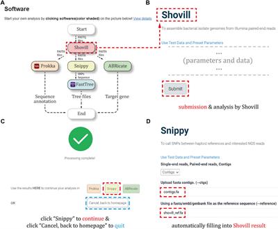 An integrated platform for Brucella with knowledge graph technology: From genomic analysis to epidemiological projection